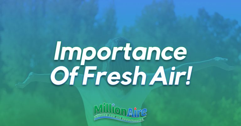 Importance Of Fresh Air!