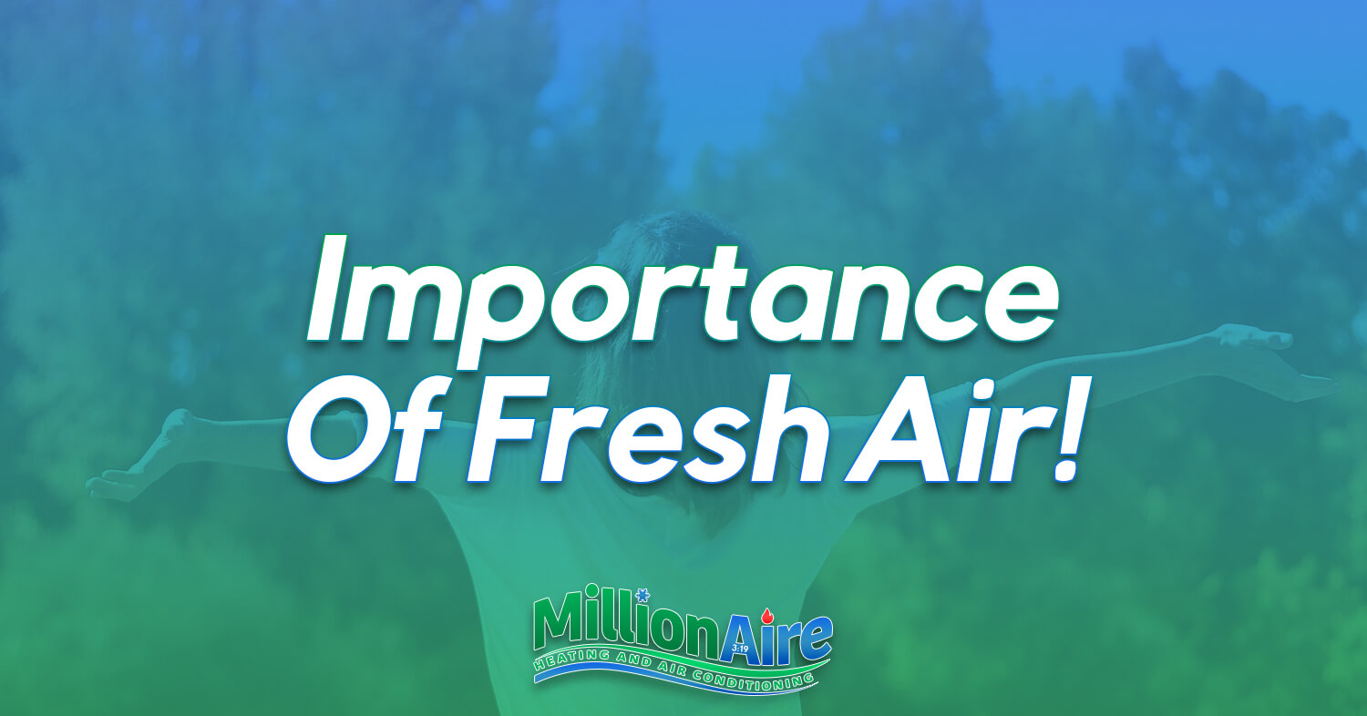 Importance Of Fresh Air!